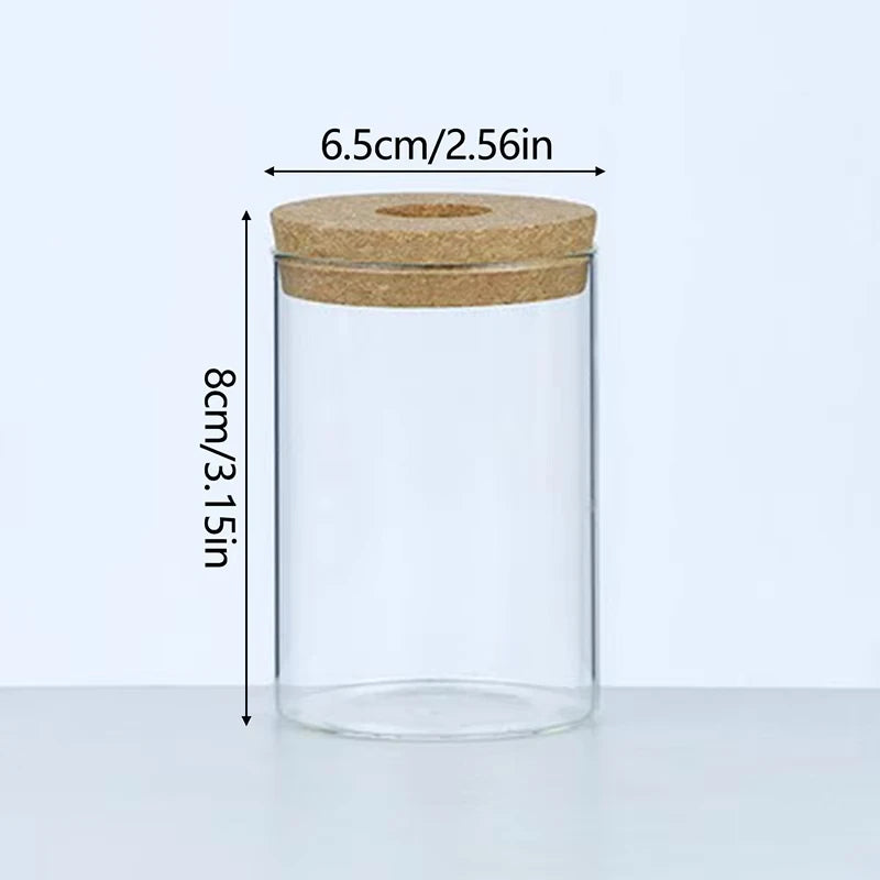 Maceta Hidropónica de Vidrio con Bandeja - Decoración Minimalista