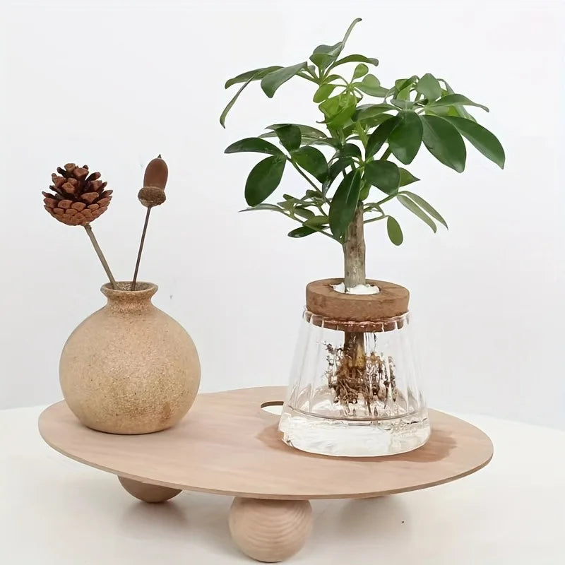 Maceta Hidropónica de Vidrio con Bandeja - Decoración Minimalista