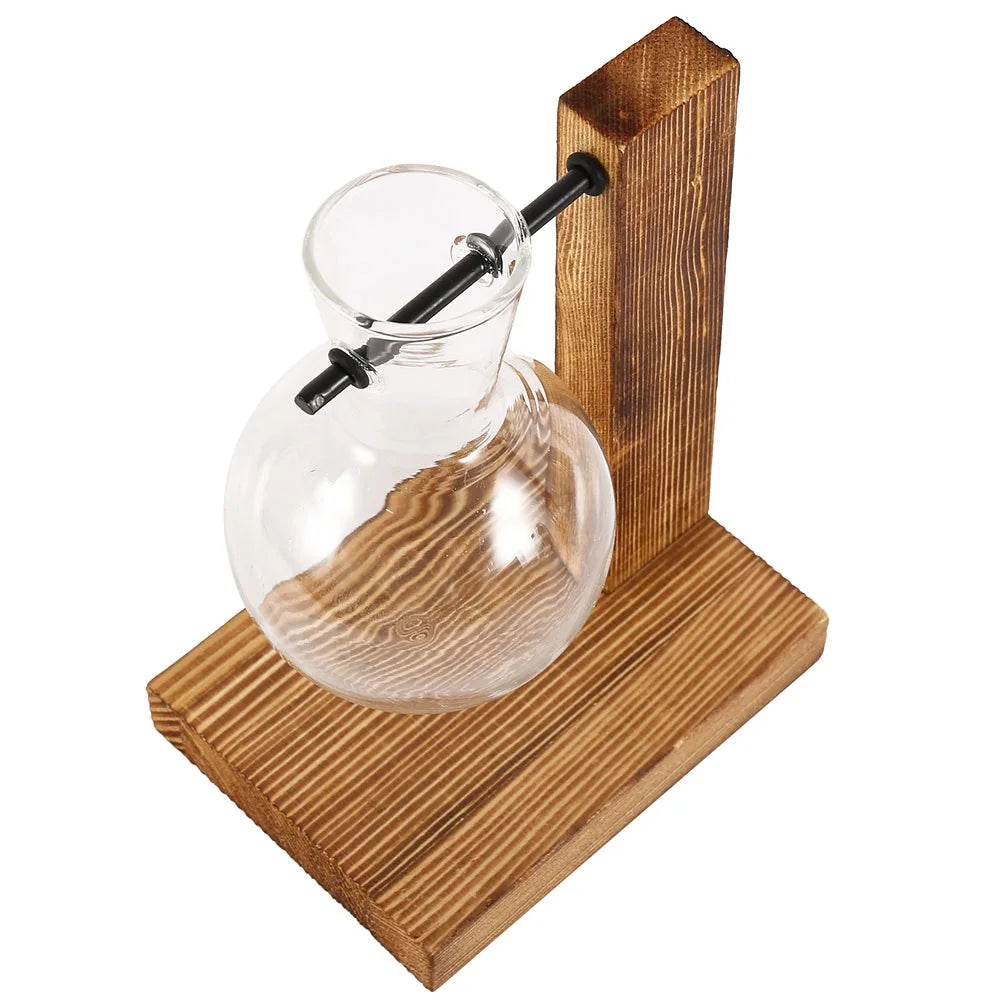 Jarrón de Vidrio Hidropónico con Soporte de Madera - Decoración Minimalista