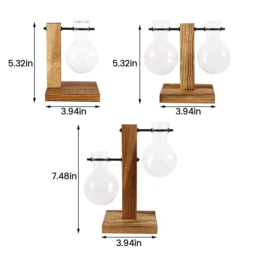 Jarrón de Vidrio Hidropónico con Soporte de Madera - Decoración Minimalista